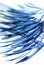 The wind in the wing of a bird, ascending flows sorting out feathers of a wing of a bird, abstract graphics, meditation