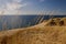 Windblown Dune Grass