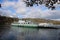 Windermere ferry Mallard crossing lake, Cumbria