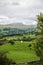 Windermere Lake from Orrest Head on the Meadows with Cows