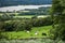 Windermere Lake from Orrest Head on the Meadows with Cows