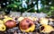 Windfall apple in the garden