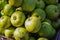 Windfall apples collected together before being cleaned.