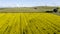 Windfarm in the canola field 04