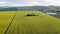 Windfarm in the canola field 05