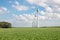 Windfarm in Dutch landscape with field of sugar beets