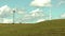 Windfarm with field and cows near