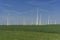 Windfarm with green field green energy