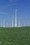 Windfarm with green field green energy