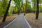 A winding alley in a city park