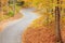 Winding alley in fall