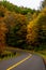 Winding Asphalt Road - Autumn / Fall Scenery - Twin Falls State Resort Park - West Virginia