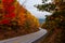 Winding Asphalt Road - Autumn / Fall Scenery - West Virginia