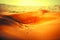 Winding black asphalt road through the sand dunes of Liwa oasis, United Arab Emirates