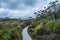 Winding boardwalk among native vegetation in Hartz Mountains Nat