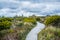 Winding boardwalk among native vegetation in Hartz Mountains Nat