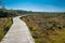 Winding boardwalk passing through Warringine Wetlands reserve.