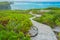 Winding concrete and stone path through green vegetation to Carribean beach