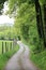 Winding country road along a forest