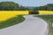 Winding country road with canola field