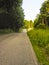 WINDING COUNTRY ROAD IN HOCKING HILLS