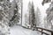 Winding country road in the mountains during snowfall  near Sterzing/ Vipiteno South Tyrol, Dolomites,  northern Italy