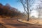 Winding countryside road in late autumn fog