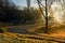 Winding countryside road in late autumn fog