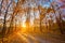 Winding Countryside Road Path Walkway Through Autumn Forest. Sunset