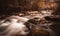 Winding creek running through a wooded area, surrounded by abundant rocks and foliage.