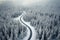 Winding and curvy road in the middle of a snow-covered forest