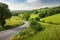 Winding curvy rural road, digital illustration artwork, nature, landscapes