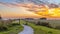 Winding cycling track through Dutch Polder