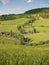 Winding cypress lane in Tuscany