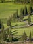 Winding cypress lane in Tuscany