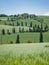 Winding cypress lane in Tuscany