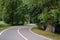 Winding dangerous forest asphalt road with markings