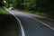Winding dangerous forest asphalt road with markings