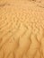 Winding desert sands as symmetrical lines and some desert herbs