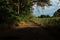 Winding dirt path meanders through a picturesque grassy meadow, flanked by tall trees. Poland.