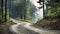 A winding dirt road through a misty forest with tall green trees and a serene atmosphere