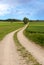 Winding dirt road in summer