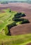 The winding edge of the field, separated from the meadow by a fluffy planting tree.