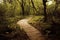 Winding empty duckboards path in forest among trees