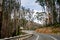 Winding empty road highway surrounded by trees in Australia. Mountain road