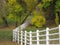 Winding Fence at the Park