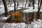 Winding flooded stream with golden sand and peat on bottom in snowy forest