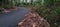 a winding and freshly paved country road with dry leaves on the sides