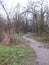 A winding garden path in the Parc Floral de Paris, Paris