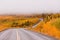 Winding golden fall taiga road Yukon Canada